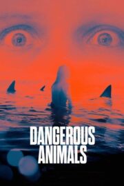 Tehlikeli Hayvanlar 2025
