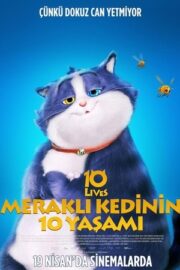 Meraklı Kedinin 10 Yaşamı 2024