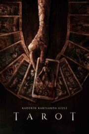 Tarot 2024