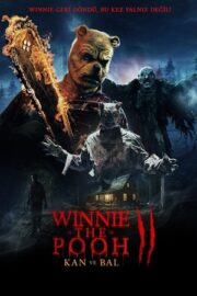 Winnie the Pooh: Kan ve Bal 2 2024