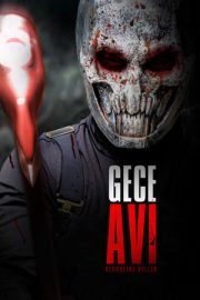 Gece Avı 2024