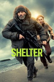 Shelter 2026