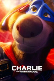 Charlie the Wonderdog 2025