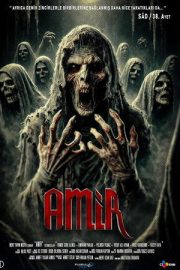 Amir 2024